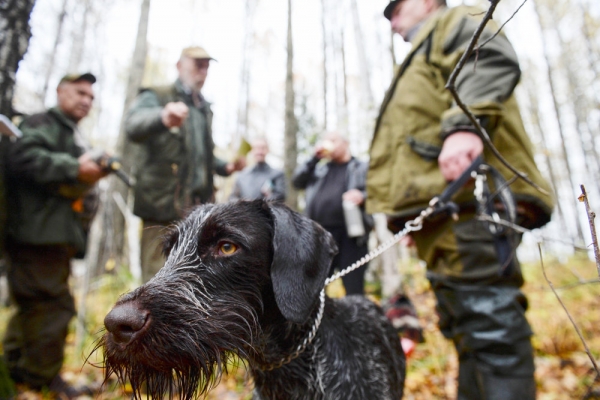 Начинающие охотники будут сдавать экзамены по правилам охоты