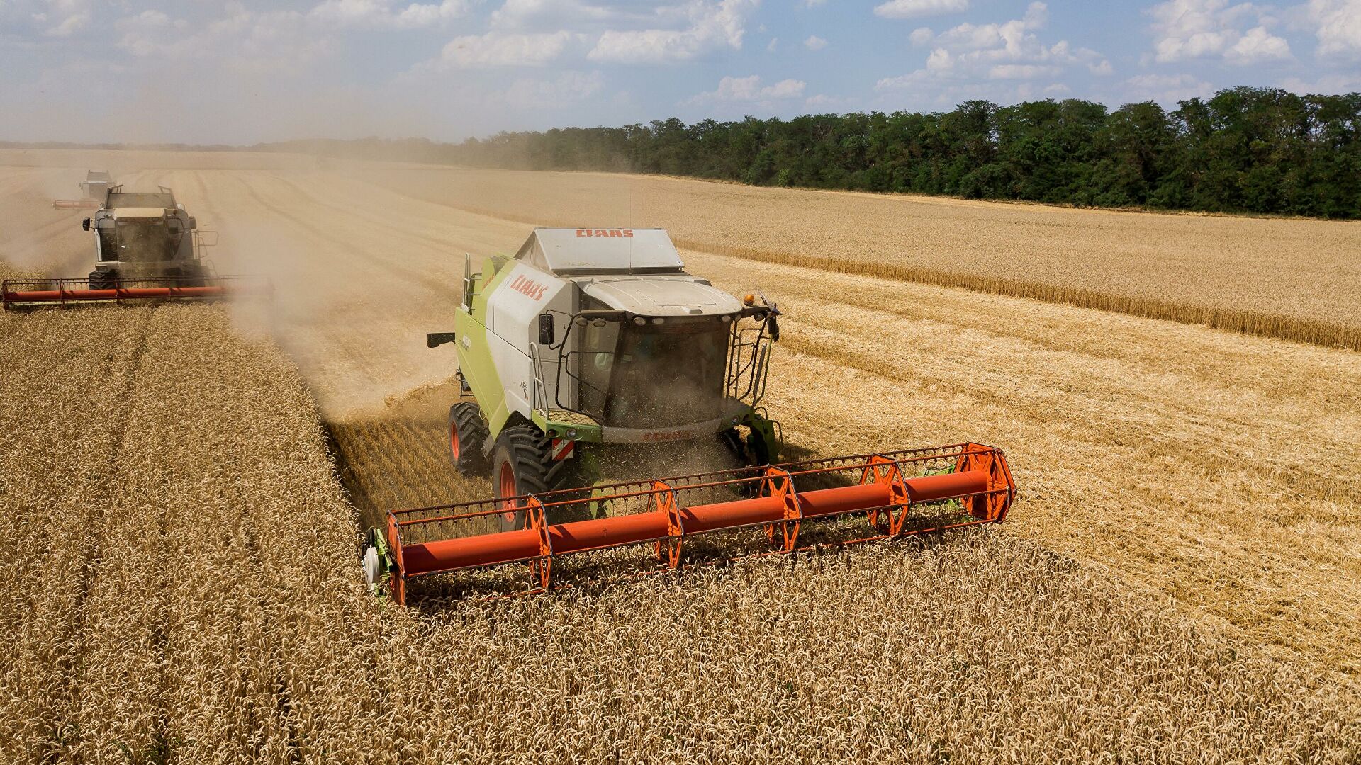 Мишустин оценил работу агропромышленного комплекса при пандемии