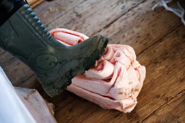 Почему у граждан при въезде в страну изымают домашние продукты Почему у граждан при въезде в страну изымают домашние продукты