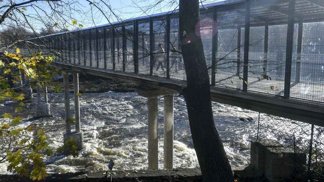 Эстония готова установить на границе с Россией 130 км колючей проволоки Эстония готова установить на границе с Россией 130 км колючей проволоки