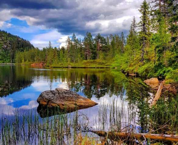 Кто будет оплачивать «зелёное будущее» человечества? Кто будет оплачивать «зелёное будущее» человечества?