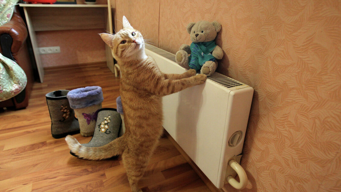 Жители 12 городов смогут перейти с угольного отопления на газ бесплатно Жители 12 городов смогут перейти с угольного отопления на газ бесплатно