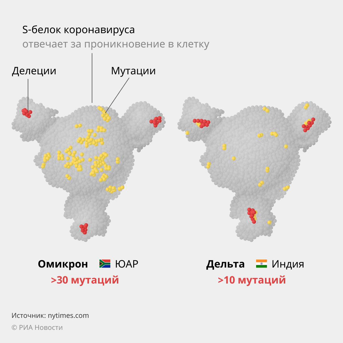Локдаун не спасет. Чем опасен омикрон-штамм COVID-19
