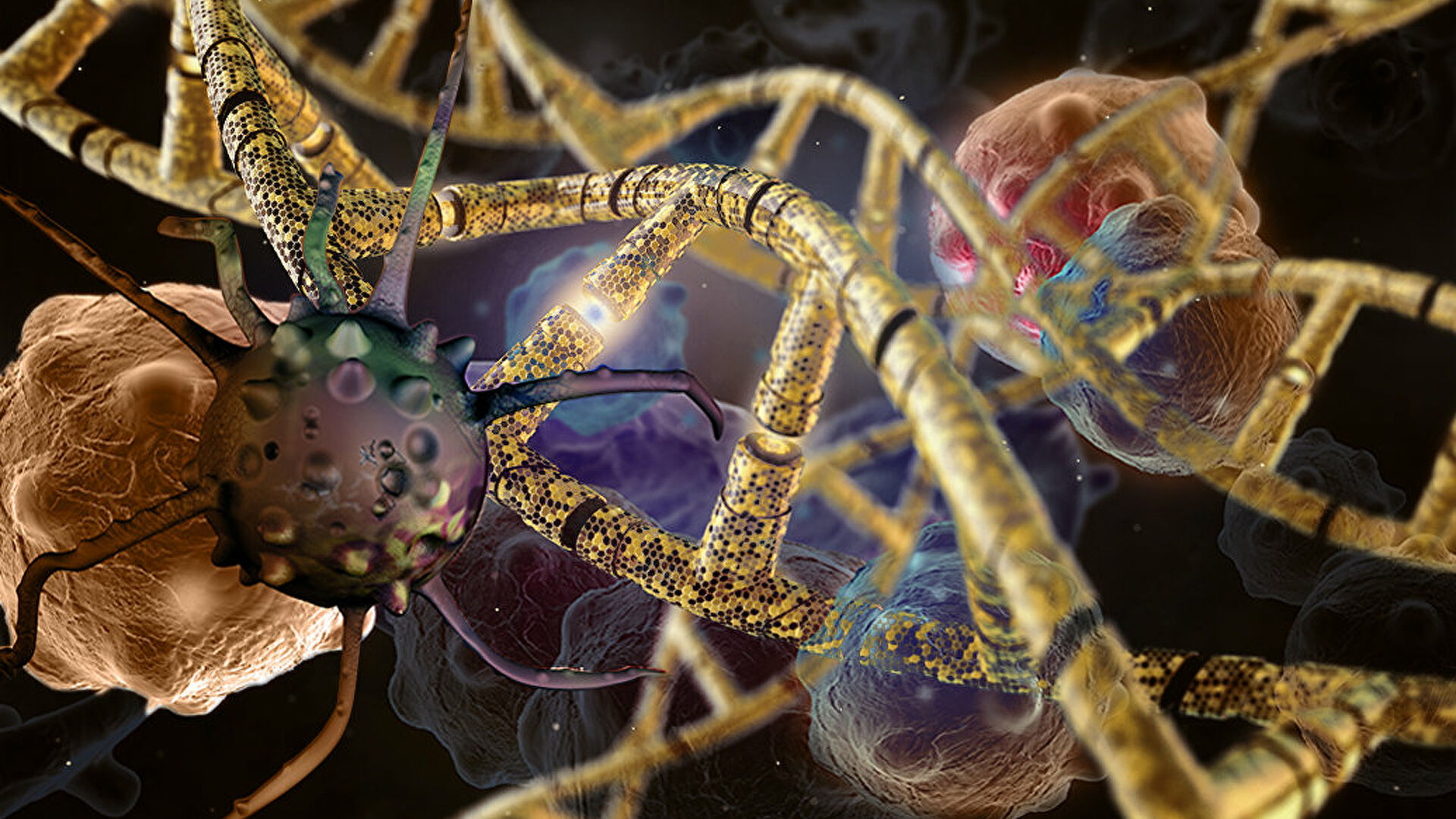 Ученые зарылись в тайну долголетия. Голая правда о голых землекопах Ученые зарылись в тайну долголетия. Голая правда о голых землекопах