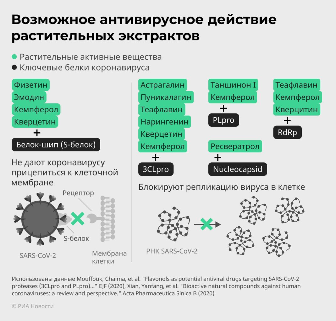 Дошли до травки: лекарства против COVID-19 добывают из растений Дошли до травки: лекарства против COVID-19 добывают из растений