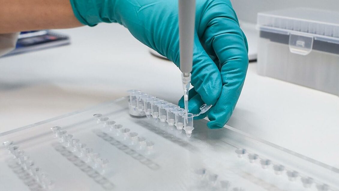 Специалист по инфекциям спрогнозировал окончание пандемии Специалист по инфекциям спрогнозировал окончание пандемии