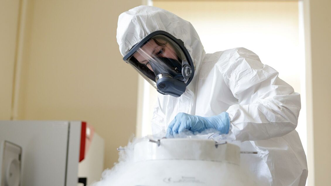 В Центре Гамалеи прокомментировали открытие в Китае коронавируса NeoCov В Центре Гамалеи прокомментировали открытие в Китае коронавируса NeoCov