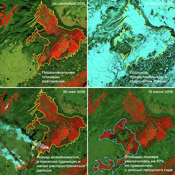 Ситуация в Арктике накаляется: "зомби" уничтожают леса
