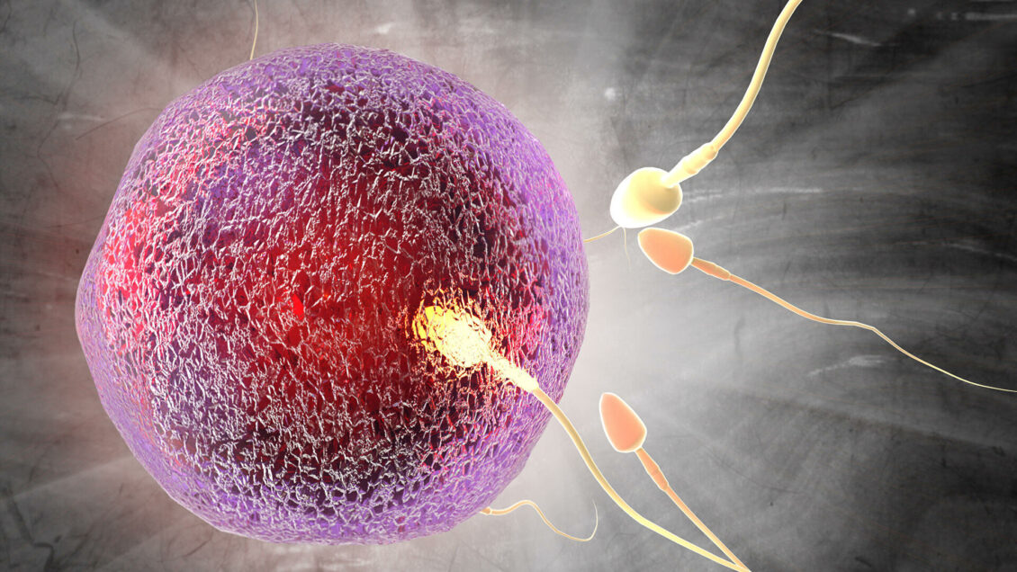 Когда секс не радует. Пандемия ударила по интимной сфере Когда секс не радует. Пандемия ударила по интимной сфере