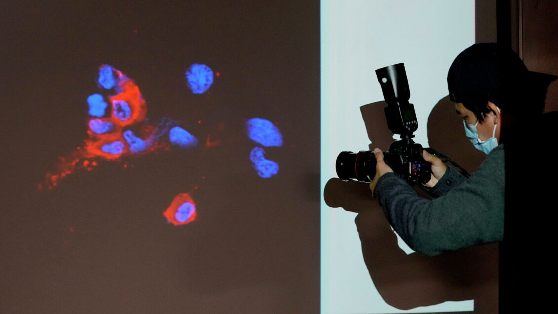 Вирус-невидимка. Новая ветвь "омикрона" быстро распространяется по миру Вирус-невидимка. Новая ветвь "омикрона" быстро распространяется по миру