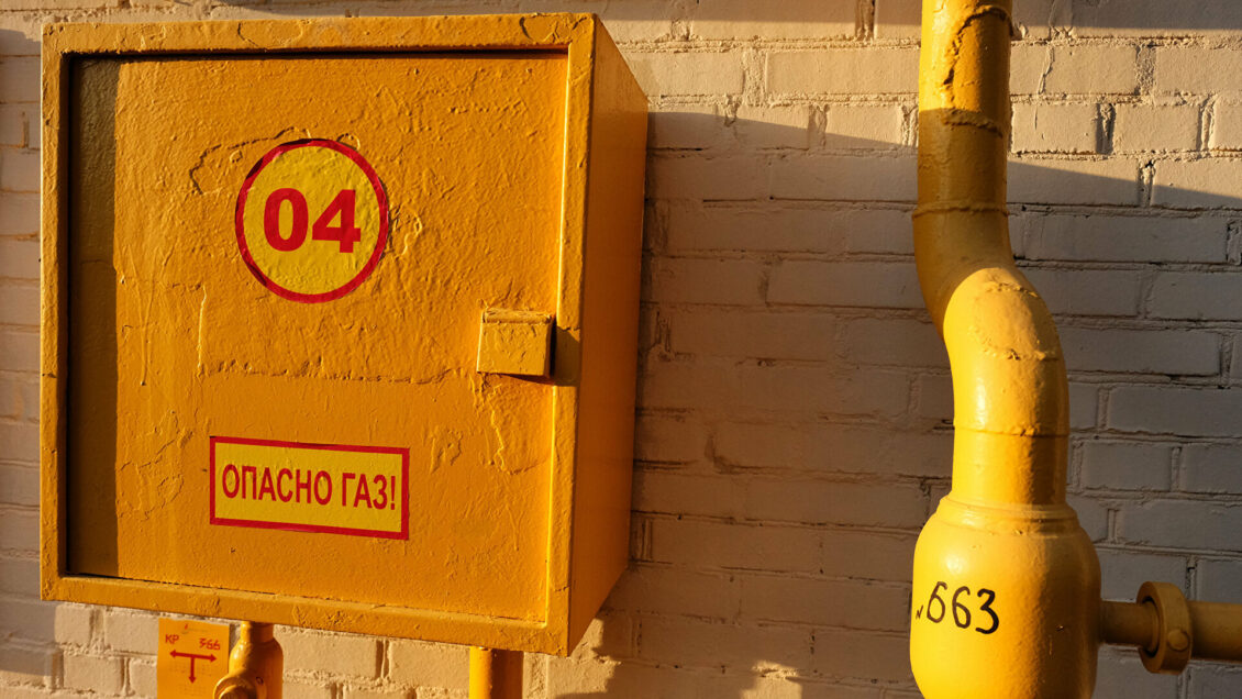 Томская область увеличила производство сельхозпродукции