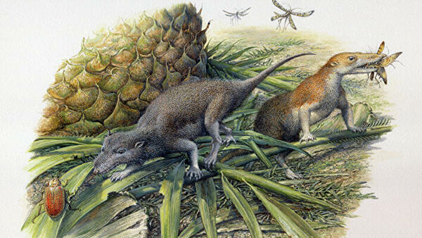 Намного древнее человека. Респираторную инфекцию нашли в костях динозавра