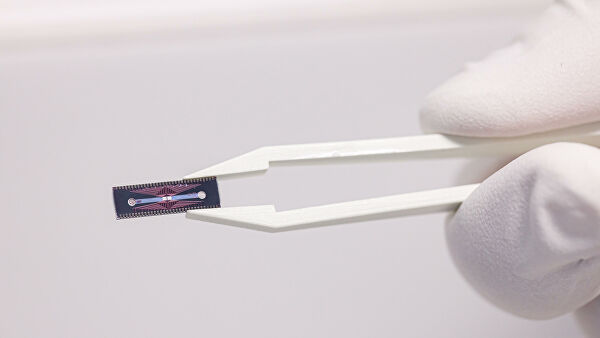 Все готово к заселению: когда в России появится организм-на-чипе