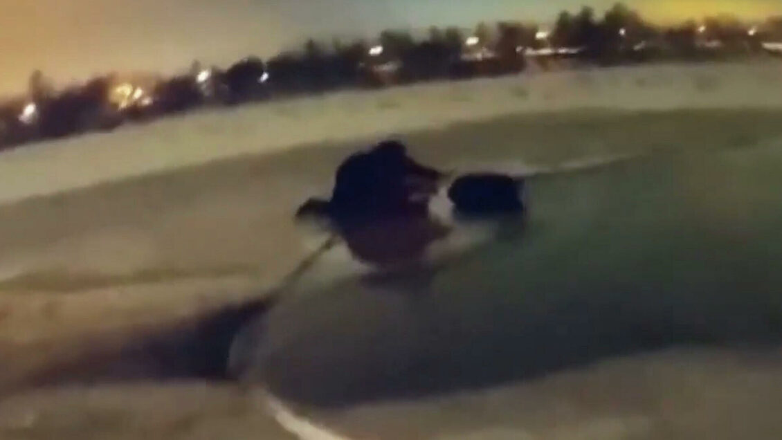 В Петербурге закрыли дамбу из-за угрозы наводнения В Петербурге закрыли дамбу из-за угрозы наводнения