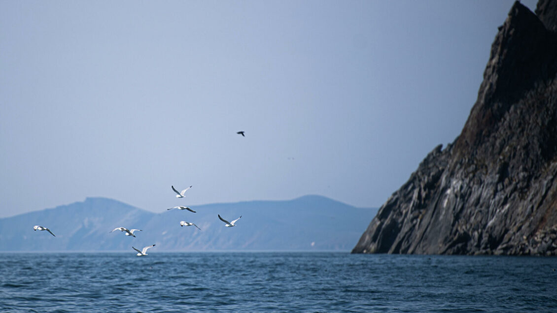 Правительство утвердило распоряжения о развитии портов Евпатория и Анадырь