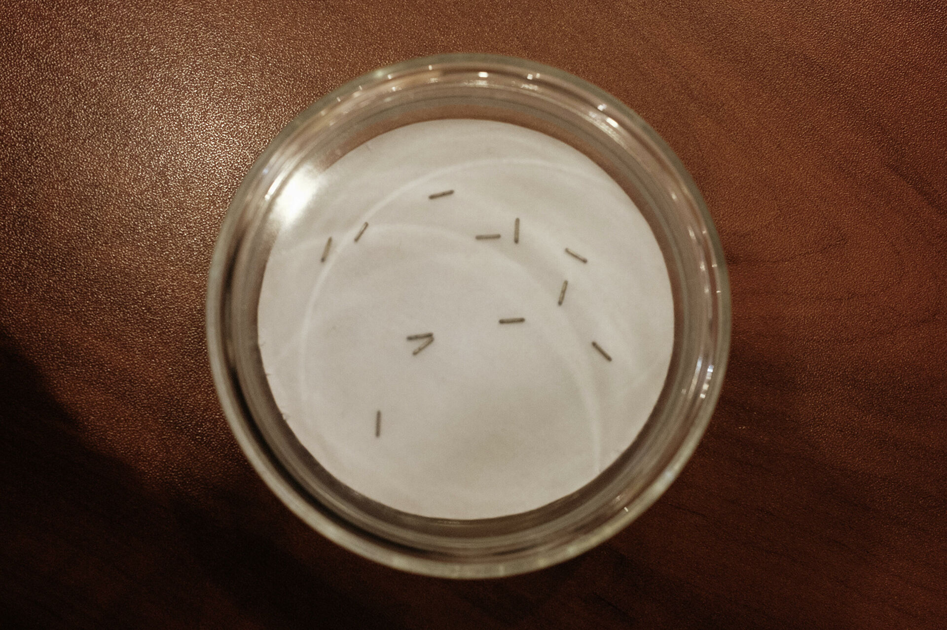 "Ситуация улучшилась колоссально". Как создают новое лекарство против рака "Ситуация улучшилась колоссально". Как создают новое лекарство против рака