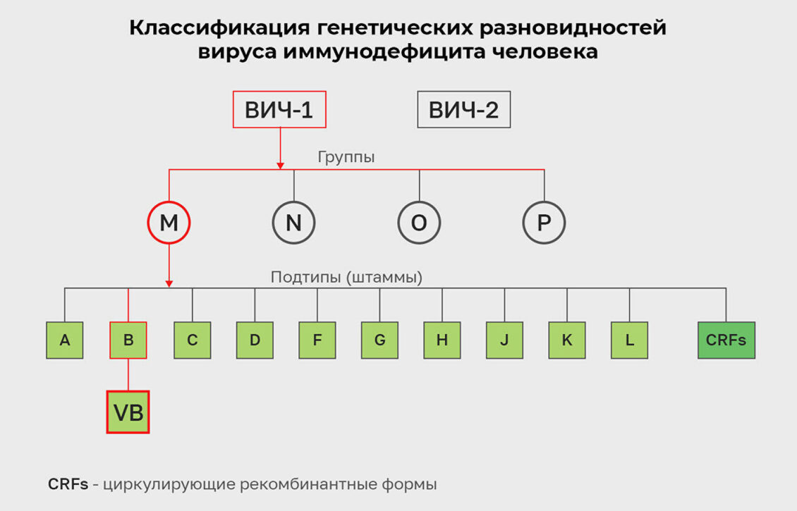 СПИД против COVID-19. В Нидерландах обнаружили новый штамм ВИЧ СПИД против COVID-19. В Нидерландах обнаружили новый штамм ВИЧ