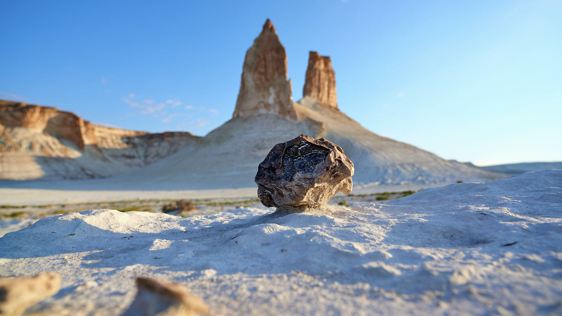 Множество таинственных животных. На Земле нашли самое обитаемое место Множество таинственных животных. На Земле нашли самое обитаемое место