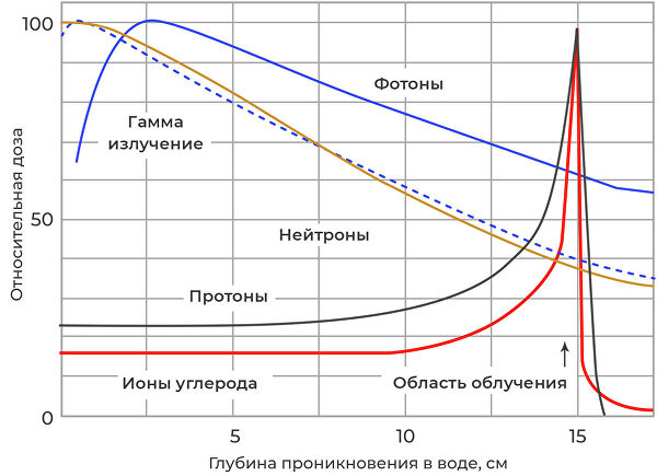 "Ситуация улучшилась колоссально". Как создают новое лекарство против рака "Ситуация улучшилась колоссально". Как создают новое лекарство против рака