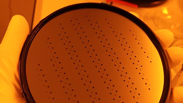 Все готово к заселению: когда в России появится организм-на-чипе