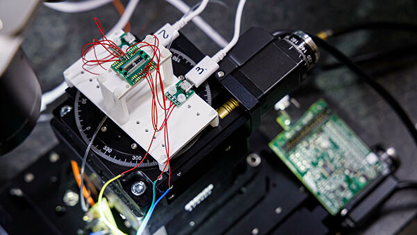 Все готово к заселению: когда в России появится организм-на-чипе