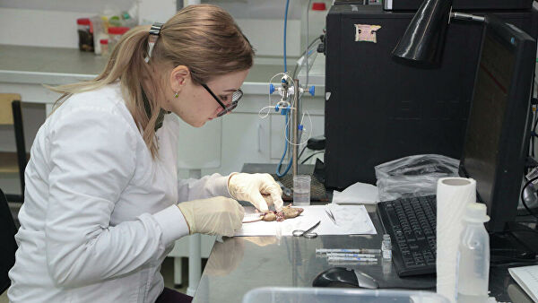 В России создали вещество для восстановления после травм мозга В России создали вещество для восстановления после травм мозга