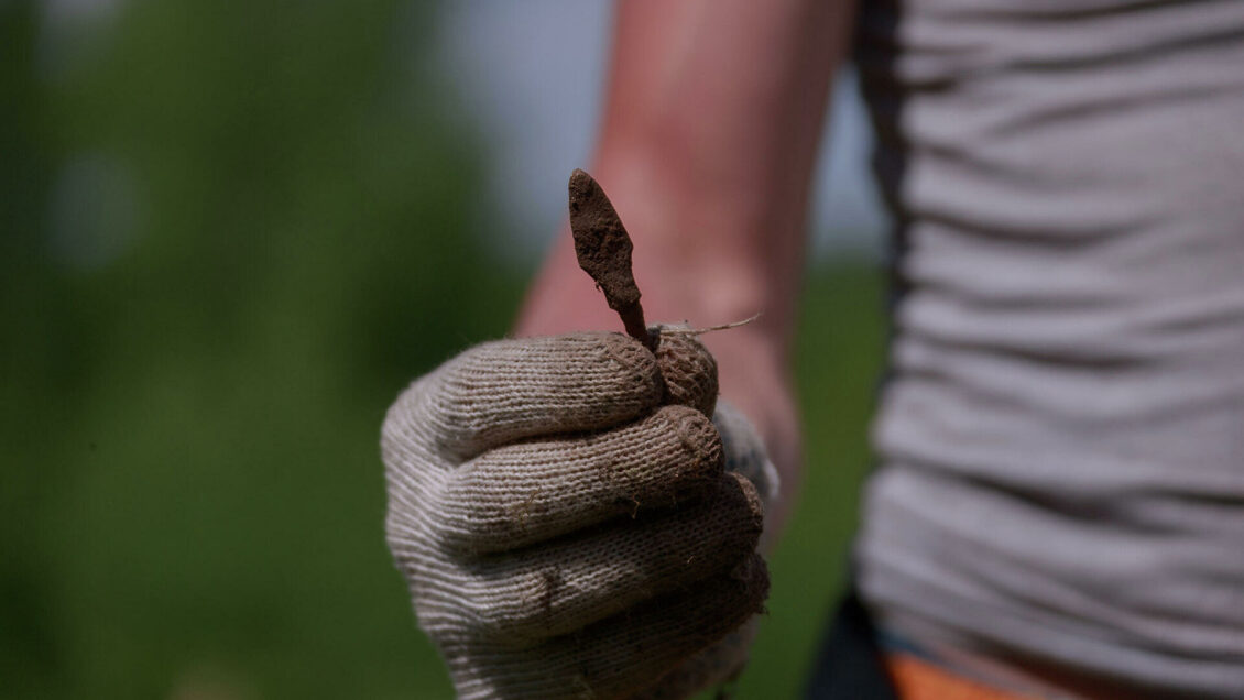 Что скрывает экспонат? Наука в музеях стала предметом дискуссии Что скрывает экспонат? Наука в музеях стала предметом дискуссии