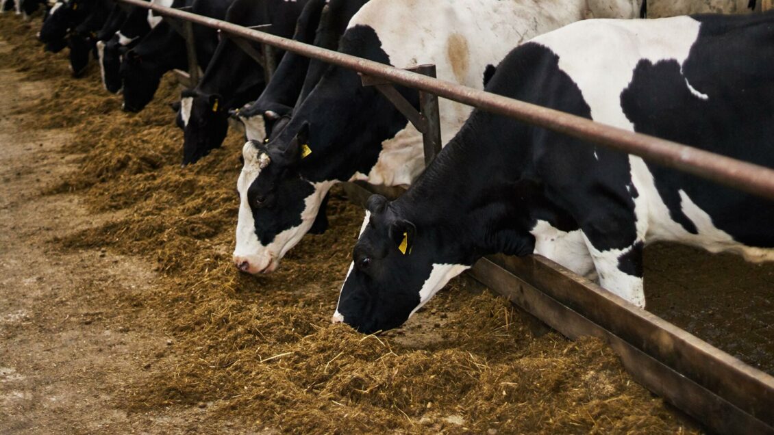 Нижегородская область обеспечит жильем почти тысячу обманутых дольщиков Нижегородская область обеспечит жильем почти тысячу обманутых дольщиков