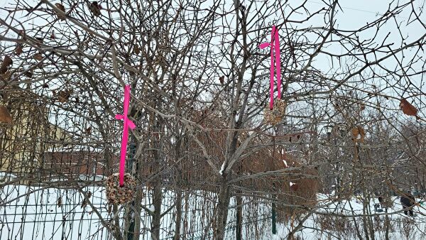 Для фанатов: Samsung выпустил "бюджетный" флагман Galaxy S21 FE Для фанатов: Samsung выпустил "бюджетный" флагман Galaxy S21 FE