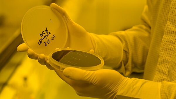 Все готово к заселению: когда в России появится организм-на-чипе