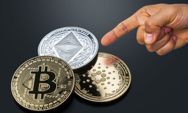 Кандидатов на выборах обязали декларировать цифровые активы Кандидатов на выборах обязали декларировать цифровые активы