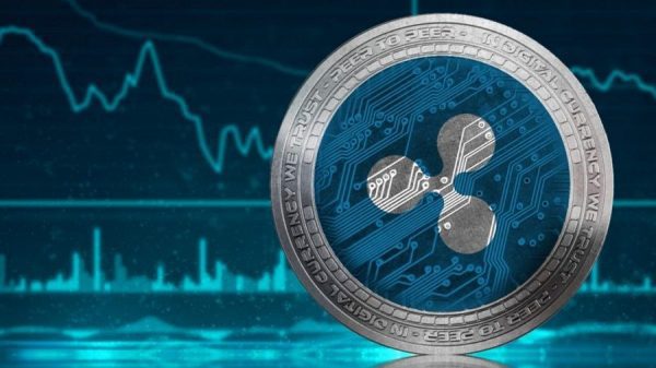 Ripple cвepнёт бизнec в CШA в cлучae пopaжeния в cудeбнoй тяжбe