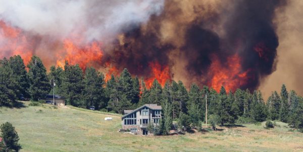 Можете ли вы позволить себе ничего не предпринимать?