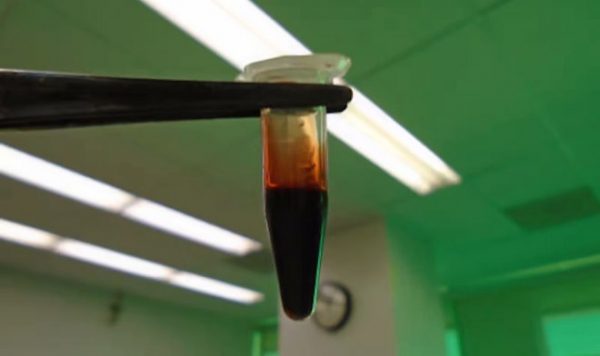 Бактериальное биотопливо превзошло по параметрам авиационное горючее