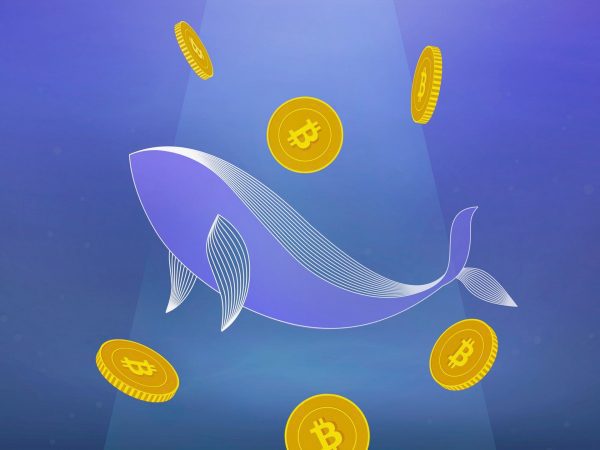 Как управлять своими биткойнами как кит Как управлять своими биткойнами как кит