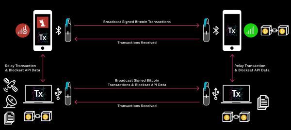 Красота по-японски: живи как самурай, умри как самурай Красота по-японски: живи как самурай, умри как самурай