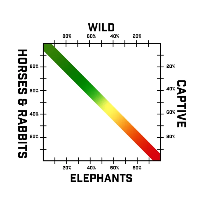 Сатошиева пята: майнинговая инфраструктура как потенциально фатальная уязвимость Биткойна Сатошиева пята: майнинговая инфраструктура как потенциально фатальная уязвимость Биткойна