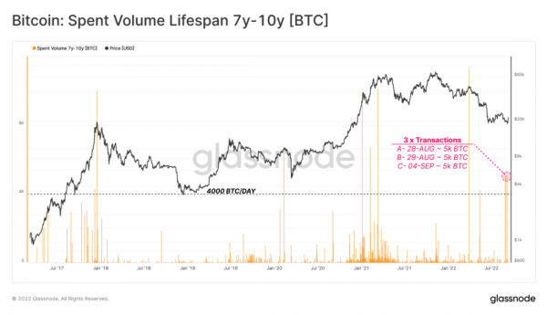 Волатильность медвежьего рынка