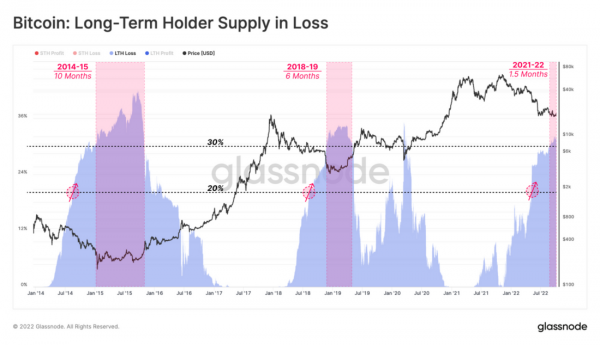 Хрупкое равновесие и распределение &laquo;финансовой боли&raquo; и прибыли на рынке биткойна