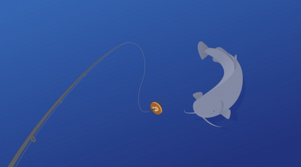 Двадцать один способ потерять биткойны Двадцать один способ потерять биткойны