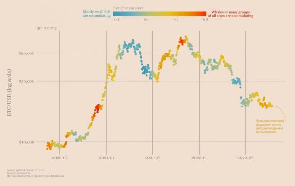 Остаёмся зимовать