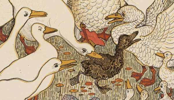 BIP47, гадкий утёнок