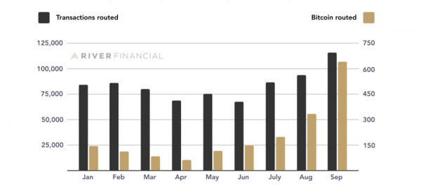 Данные о работе в Lightning Network от оператора четвертого крупнейшего узла