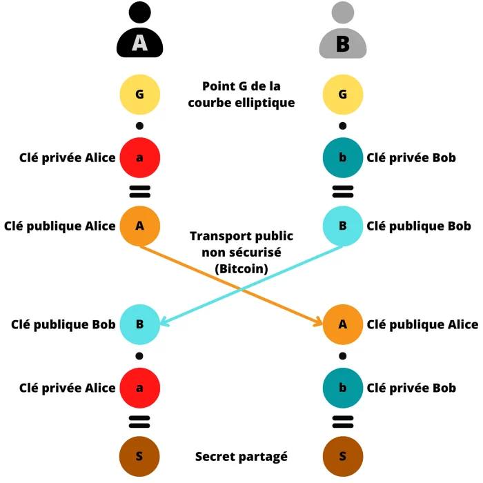 BIP47, гадкий утёнок