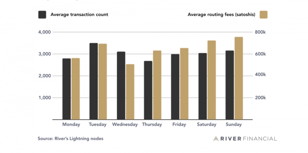 Данные о работе в Lightning Network от оператора четвертого крупнейшего узла