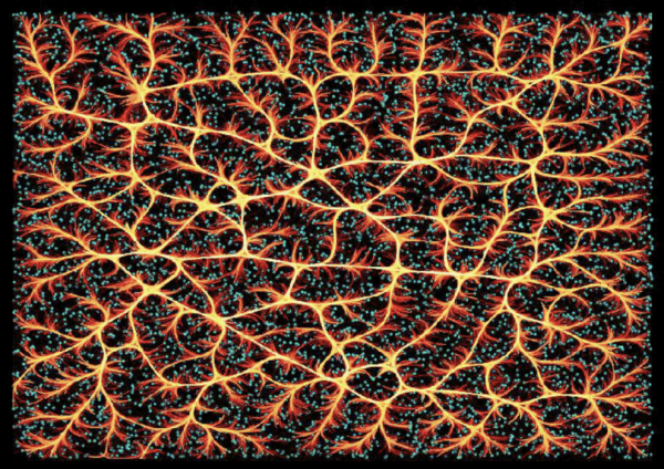 Данные о работе в Lightning Network от оператора четвертого крупнейшего узла