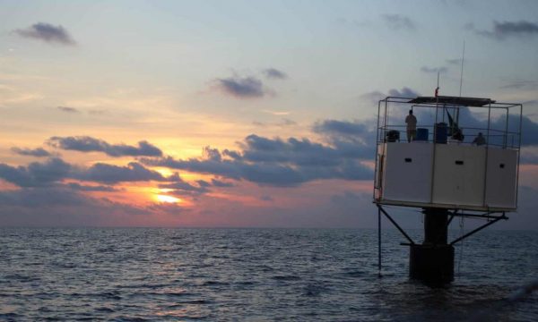 Провальное плаванье &laquo;Сатоши&raquo; &ndash; первого в мире криптовалютного круизного лайнера