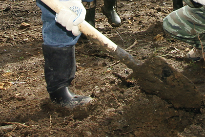 Российские рабочие нашли массовое захоронение немецких солдат Российские рабочие нашли массовое захоронение немецких солдат