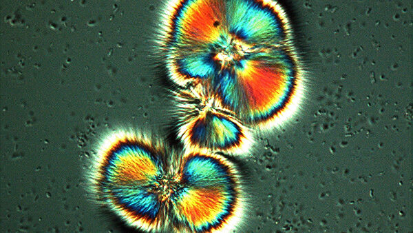 Российские ученые создали батарею, работающую на химических отходах Российские ученые создали батарею, работающую на химических отходах