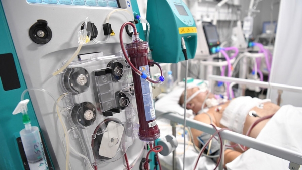 Ученые обнаружили 13 участков ДНК, влияющих на уязвимость человека к COVID-19 Ученые обнаружили 13 участков ДНК, влияющих на уязвимость человека к COVID-19